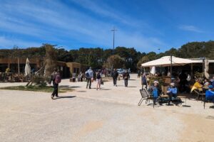 Bars et restaurants situées à l'entrée de la plage du Veillon